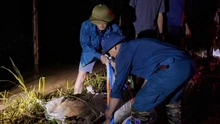 Hàng trăm cán bộ, chiến sĩ khắc phục sự cố vỡ đê bối Tiên Lục