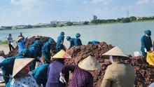  Giữ vững đê điều trong "thiên tai kép"