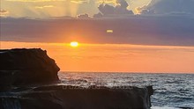 Vẻ đẹp mùa Xuân ở Australia – Khi thiên nhiên thức giấc trong sắc tím và vàng