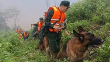 Vụ sạt lở đất ở Hùng Sơn: Sử dụng chó nghiệp vụ tìm kiếm nạn nhân mất tích