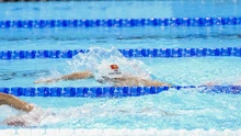 SEA Games 33: Bơi Việt Nam đối mặt với làn sóng 'ngoại lực'