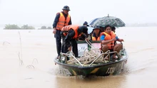 Cập nhật: Khánh Hòa “chạy đua” với thời gian đưa người dân vùng lũ đến nơi an toàn