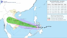 Bão KALMAEGI tiếp tục đổi hướng, di chuyển vào Biển Đông trong ngày 5/11