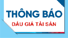 Công ty Đấu giá hợp danh Đức Anh thông báo đấu giá tài sản theo thủ tục rút gọn (lần 04)
