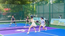 Giá thuê sân pickleball như thế nào? Sự khác nhau giữa sân pickleball tại Hà Nội, TP.HCM và Đà Nẵng?