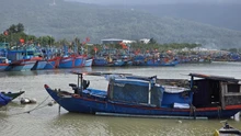 Đà Nẵng: Tàu thuyền khẩn trương vào tránh trú trước bão số 13