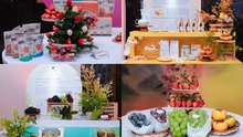 Premium K-Fresh Showcase & Tasting Event 2025: Tinh hoa trái cây cao cấp Hàn Quốc lần đầu quy tụ tại Hà Nội