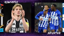 Nhận định, soi tỷ lệ Newcastle vs Brighton 20h45 ngày 2/3, FA Cup vòng 5