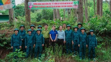 Hoa hậu Trần Thị Mỹ Linh diện áo xanh tình nguyện cùng các chiến sĩ trồng cây