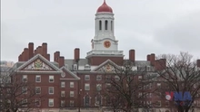 Nhà Trắng cho Đại học Harvard 30 ngày để kháng cáo