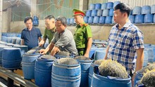 Khởi tố 3 bị can sản xuất giá đỗ bằng hóa chất độc hại