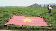Tăng sức hấp dẫn cho Cao nguyên Mộc Châu