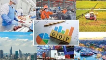 Chuẩn bị Lễ khởi công, khánh thành các dự án quy mô lớn và triển lãm thành tựu kinh tế - xã hội kỷ niệm 80 năm Quốc khánh