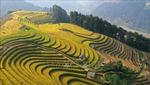 Hà Giang: Khi văn hóa chuyển mình thành nội lực kinh tế