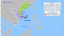Dự báo thời tiết ngày 12/6: Vùng gần tâm bão gió mạnh cấp 8-9, giật cấp 11