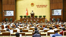 Thực hiện đồng bộ, quyết liệt các giải pháp về sắp xếp, kiện toàn tổ chức bộ máy