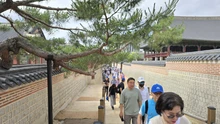 Lễ hội quốc tế đi bộ tham quan Cung điện Hoàng gia Seoul 2025