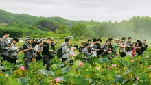 Hành trình nhiếp ảnh miền Trung: Khi đầm sen Trà Lý và văn hóa Chăm vào khung hình