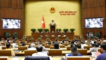 Quốc hội thống nhất rút ngắn thời gian thực hiện quy trình bầu cử