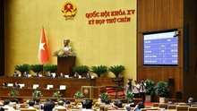 Kỳ họp thứ 9, Quốc hội khóa XV: Quốc hội xem xét công tác nhân sự