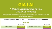 Thông tin chi tiết sắp xếp các đơn vị hành chính cấp xã của tỉnh Gia Lai