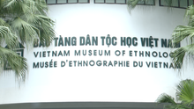 Ngày Gia đình Việt Nam: Trải nghiệm Phòng Khám phá tại Bảo tàng Dân tộc học
