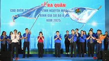 Thành phố Hồ Chí Minh ra quân Chiến dịch Mùa hè xanh lần thứ 32