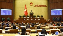 Nghị quyết chỉ định Trưởng Đoàn, Phó Trưởng Đoàn đại biểu Quốc hội