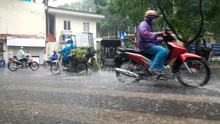 Thời tiết ngày 5/6: Nhiều khu vực cục bộ có mưa lớn
