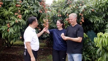 Việt Nam đón hơn 9,2 triệu khách quốc tế, lọt top tìm kiếm du lịch châu Á