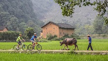Nông thôn Trung Quốc chuyển mình nhờ du lịch xanh
