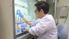 Indonesia phát hiện hợp chất mới chống ung thư