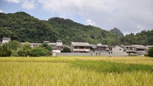 Nông thôn Trung Quốc chuyển mình nhờ du lịch xanh