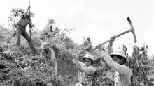 75 năm ngày truyền thống lực lượng thanh niên xung phong: Một thời cống hiến, một đời tri ân