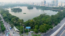 Cây xanh Hà Nội: Kiến tạo bản sắc đô thị từ bóng mát và ký ức