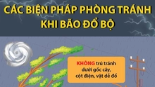 Các biện pháp phòng tránh khi bão đổ bộ