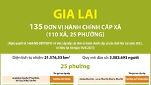 Thông tin chi tiết sắp xếp các đơn vị hành chính cấp xã của tỉnh Gia Lai: 25 phường