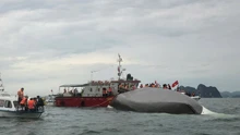 Vụ lật tàu trên vịnh Hạ Long: Lời cảnh tỉnh đắt giá!