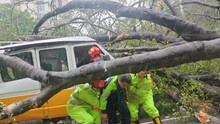 Bão Wipha “càn quét” Trung Quốc: Giao thông tê liệt, kinh tế thiệt hại nặng