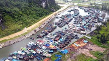 Quảng Ninh đưa tàu thuyền về nơi tránh trú an toàn, sẵn sàng ứng phó bão số 3