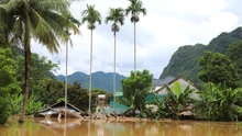 Nghệ An: 1 người chết, 1 người mất tích, hàng nghìn ngôi nhà bị ngập do mưa lũ