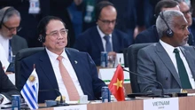 Thủ tướng dự Phiên thảo luận "Môi trường, COP 30 và Y tế toàn cầu" tại BRICS mở rộng 2025