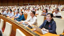Thành quả ban đầu từ những quyết sách đúng đắn