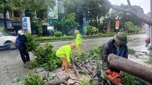 Bão số 5: Thanh Hóa triển khai phương án ứng phó sau khi bão đổ bộ