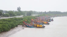 Thủ tướng yêu cầu triển khai quyết liệt công tác ứng phó bão số 5