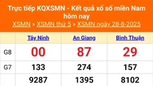 XSMN 28/8 - Kết quả xổ số miền Nam hôm nay 28/8/2025 - Trực tiếp XSMN ngày 28 tháng 8