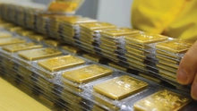 Giá vàng hôm nay chạm mức cao nhất trong gần hai tuần