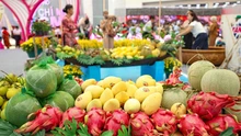 Du lịch phương Nam thu nhỏ qua các gian trưng bày đặc sắc tại Triển lãm thành tựu Đất nước