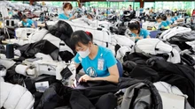 Phát triển kinh tế tư nhân: Động lực quyết định tăng trưởng hai con số