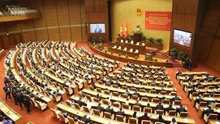 Quy định về Danh mục vị trí chức danh, nhóm chức danh, chức vụ lãnh đạo của hệ thống chính trị